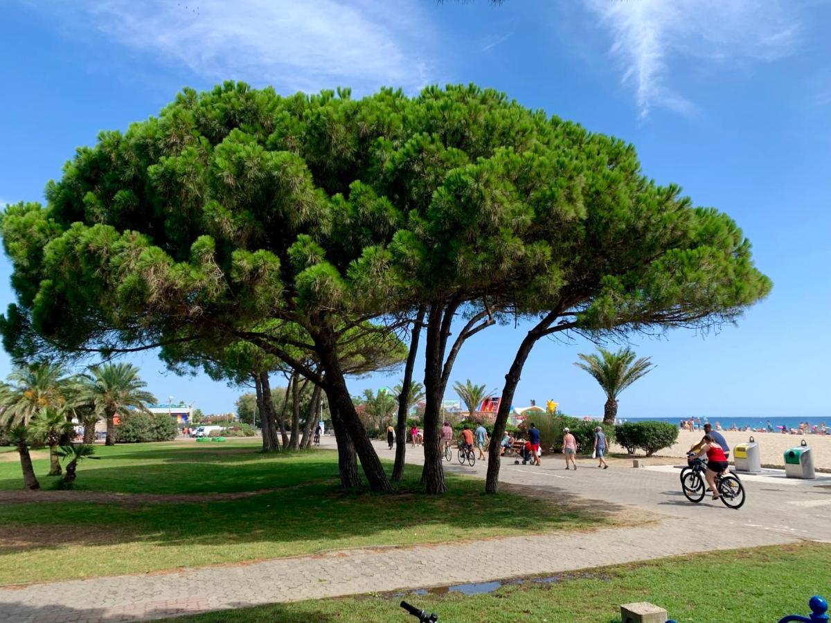 Superbe Appartement Neuf Entre Mer Et Pins Wifi Argelès-sur-Mer Dış mekan fotoğraf