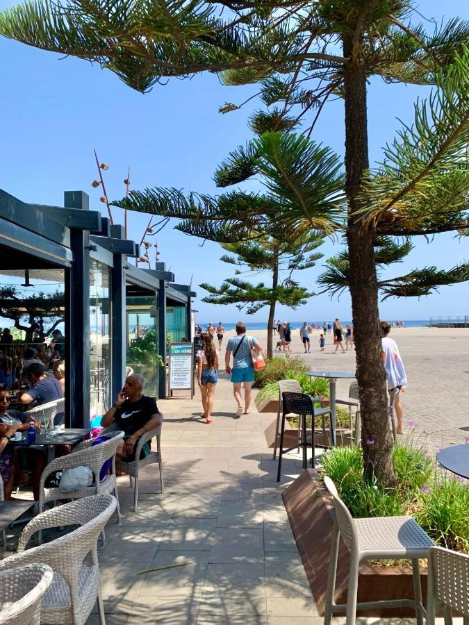 Superbe Appartement Neuf Entre Mer Et Pins Wifi Argelès-sur-Mer Dış mekan fotoğraf
