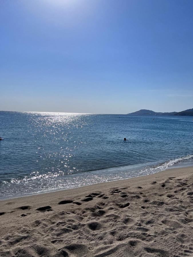Superbe Appartement Neuf Entre Mer Et Pins Wifi Argelès-sur-Mer Dış mekan fotoğraf