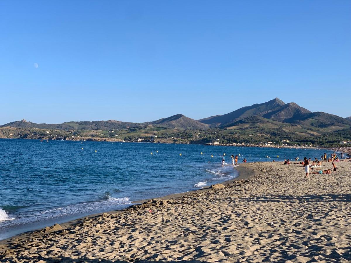 Superbe Appartement Neuf Entre Mer Et Pins Wifi Argelès-sur-Mer Dış mekan fotoğraf